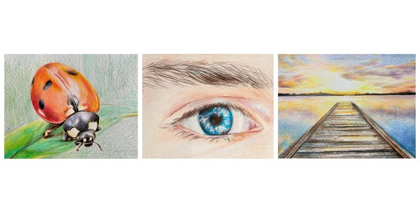 Coloured Pencil Drawing Course by Xiang Ling - NT20250404CPD