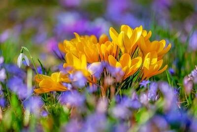 Gartentag an der Naturschutzstation