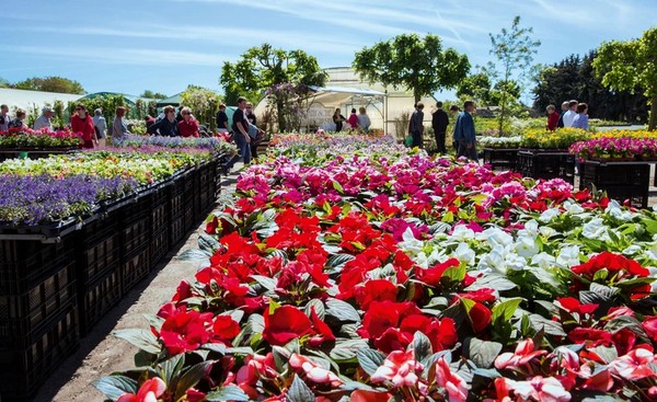 Gartenmarkt „Späth'er Frühling“