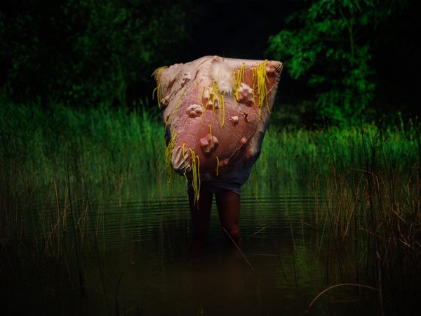 Fest of Fools: Gats Surprise / Scapes of Landscape | Lukáš Karásek (tYhle collective)