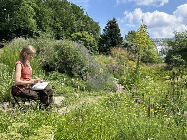 Nature Journaling Workshop für Erwachsene