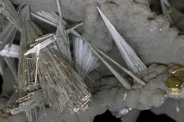 Transpositional Geologies. Koloniale Kontexte mineralogischer Sammlungen