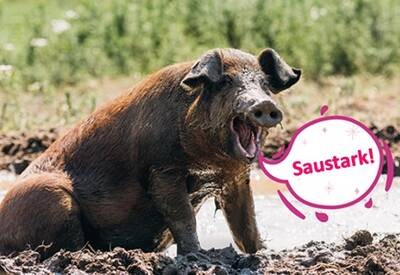Brandenburger Landpartie- Tag der offenen Höfe