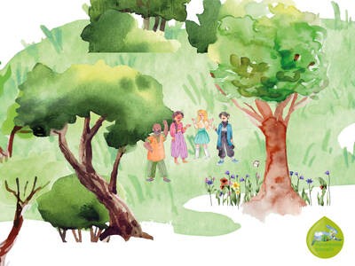Klimaanpassung im Wald vs. Klimaanpassung im Park