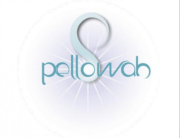 Pellowah Level 1 and 2 Practitioner Course
