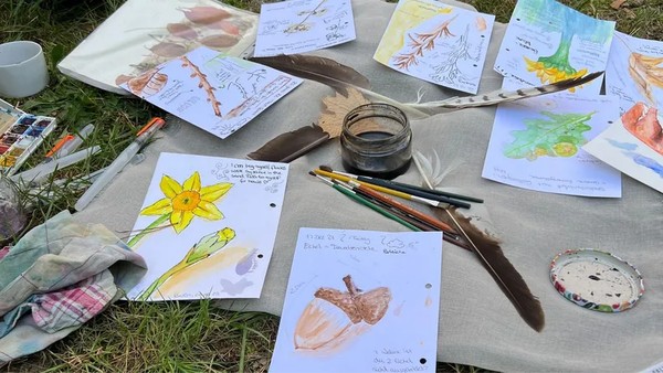 Nature Journaling - kreative Naturverbindung auf dem Tempelhofer Feld