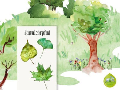 Nature Journaling für Familien