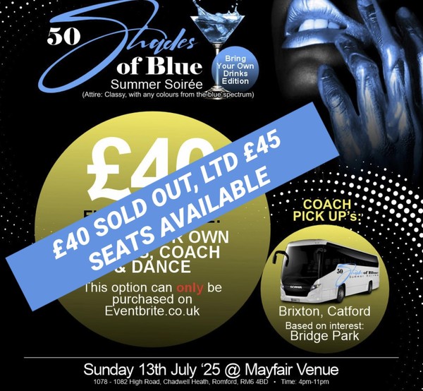 50 Shades of Blue Summer Soiree (Bring Your Own Drinks Edition)
