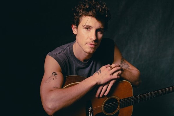 Shawn Mendes - On the Road Again