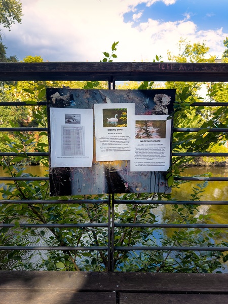 "The Swan That Disappeared”Artist Talk and Community Gathering with Eric Dickson