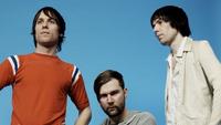 The Cribs