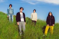 Beach Fossils