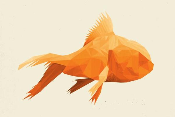 Goldfish