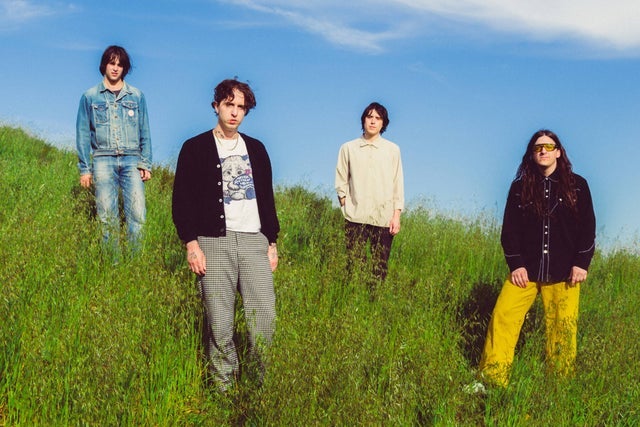 Beach Fossils