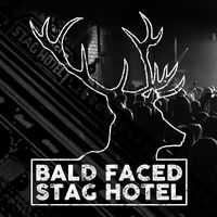 The Bald Faced Stag