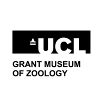 Grant Museum of Zoology, UCL